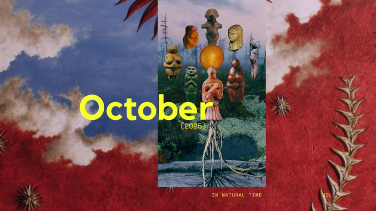 Oct 25' Natural Report Is IN!