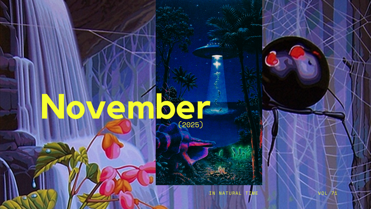 Nov 25' Natural Report Is IN!