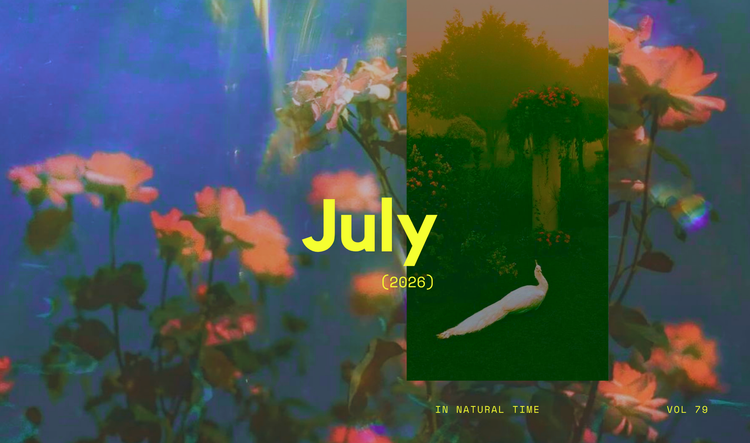 July 26' Alignment Guide Is IN!