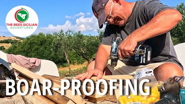 Our Neighbor's Farm Got Hit by Wild Boars — So We Built This