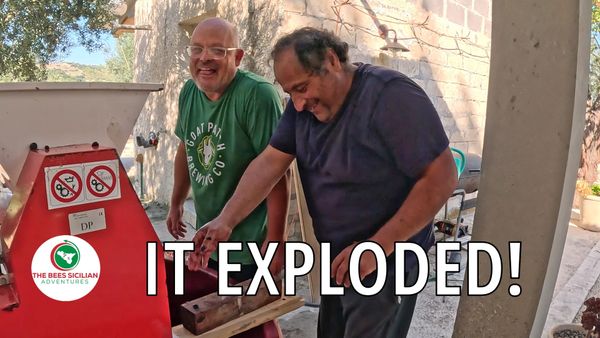 Episode #103 We Made Wine in Sicily — Then It Exploded