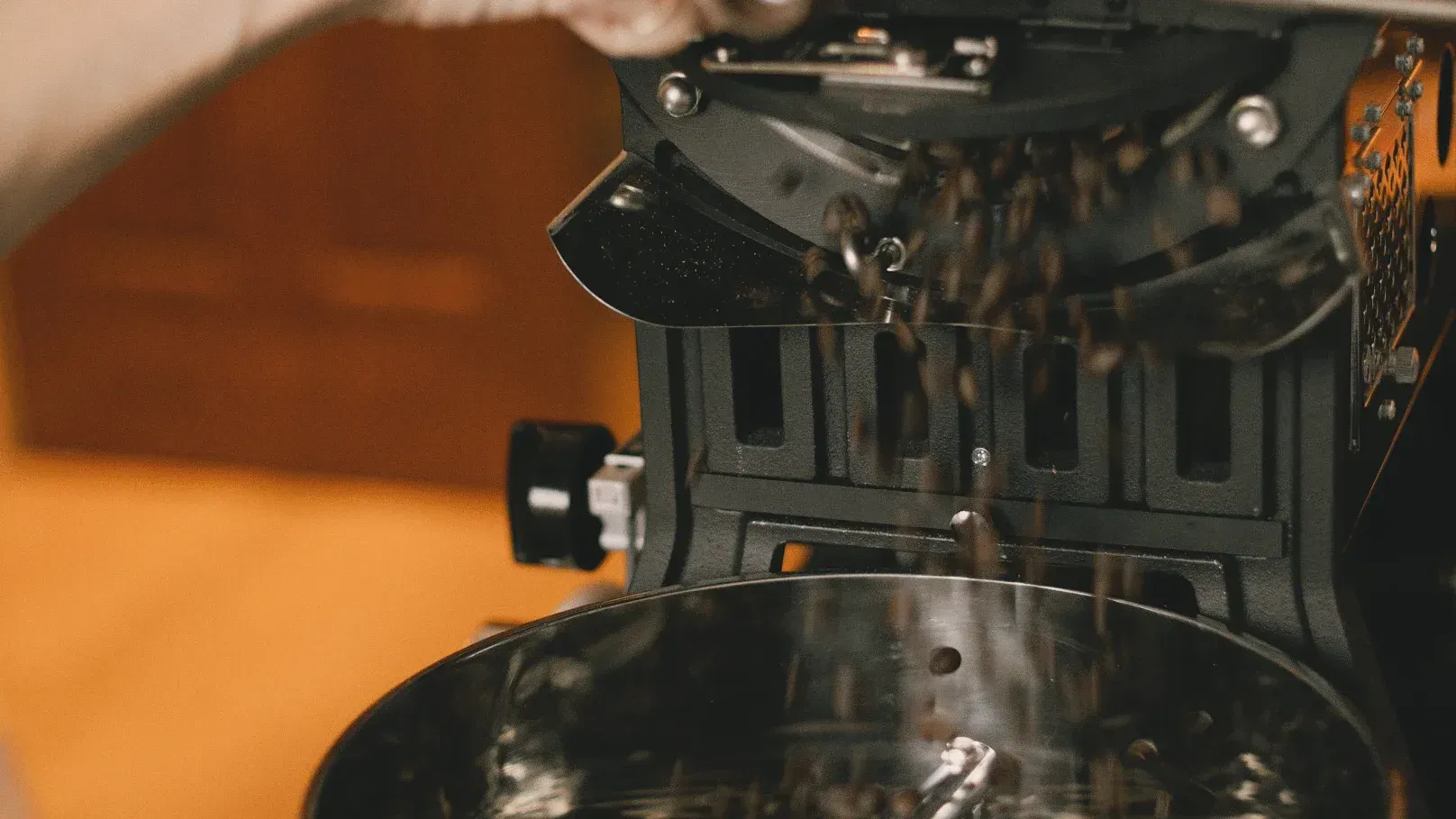 Before the Roast: What Happens When You Wash Green Coffee