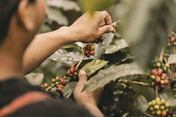 The Freedom to Leave Is Also Dignity