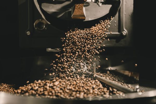 Freshly roasted coffee beans falling from a roaster during batch drop.