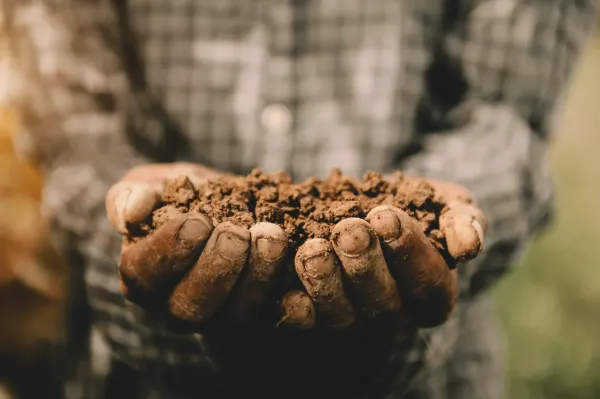 An elderly farmer holds a cupped handful of dry soil, his weathered hands filling the frame.