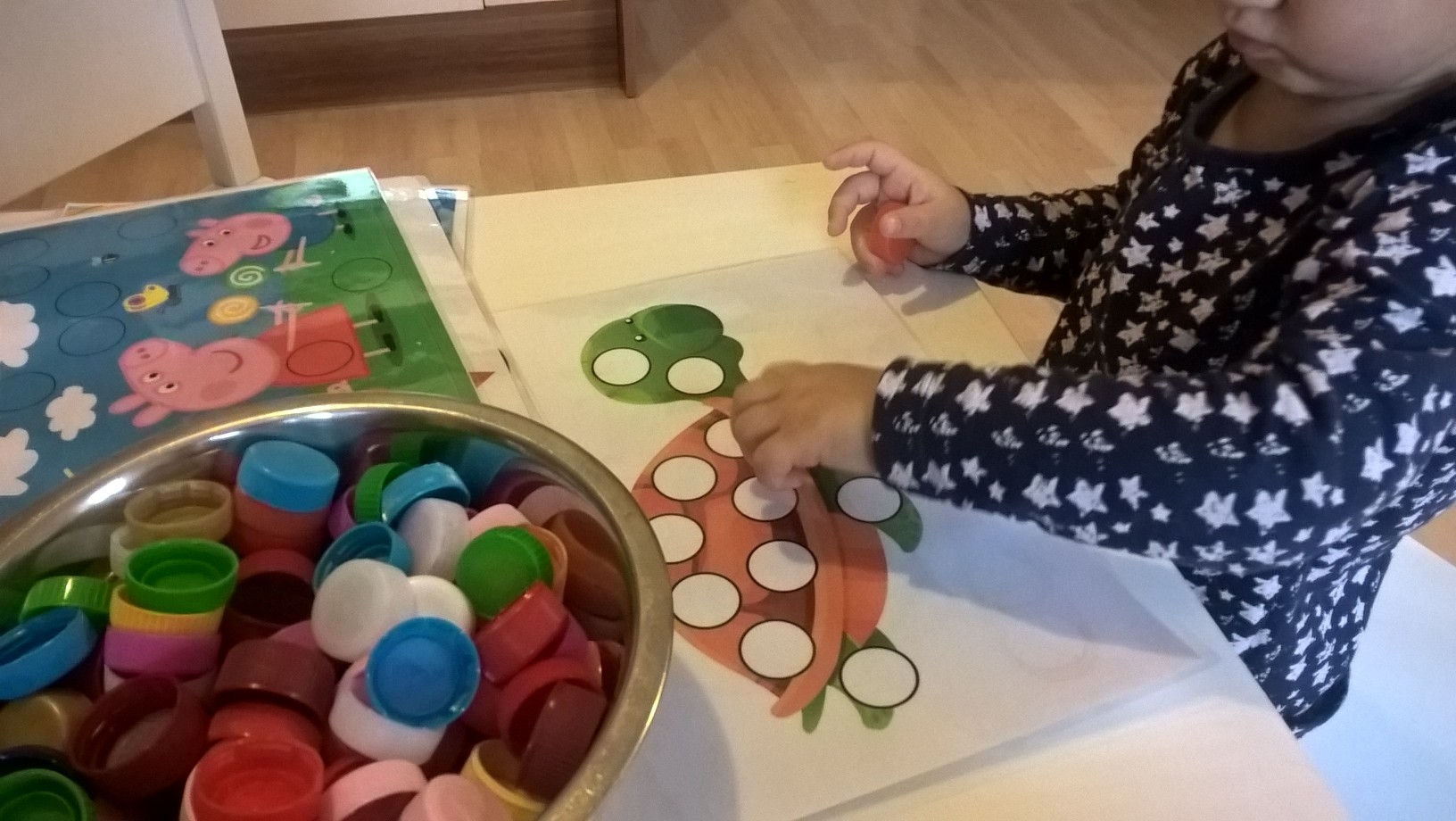 WP_20151030_08_45_04_Pro