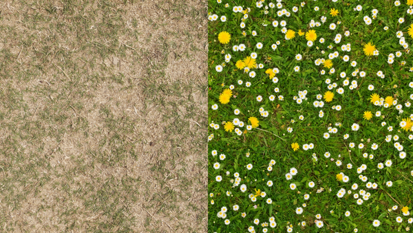 It’s Time to Rethink Your 1:1s