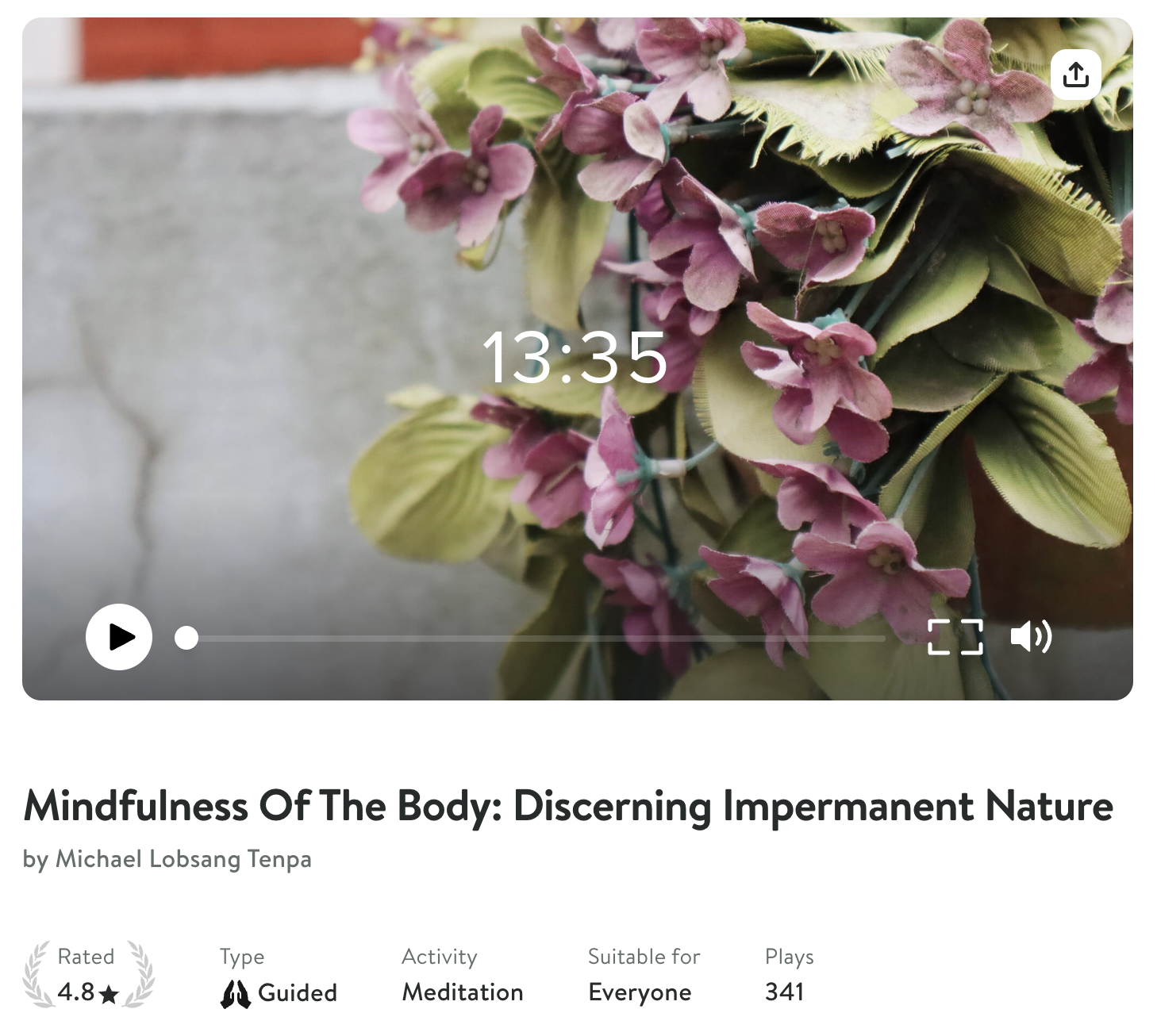Screenshot of Michael Lobsang Tenpa’s meditation “Mindfulness of the Body: Discerning Impermanent Nature”
