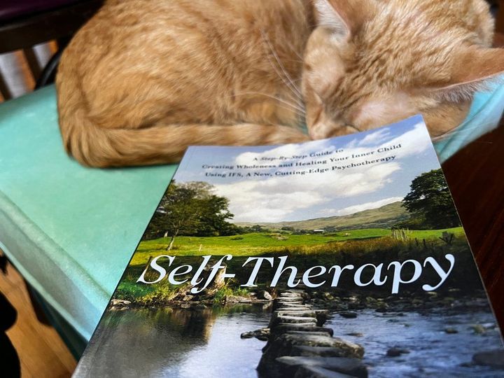 A do-it-yourself introduction to your inner family