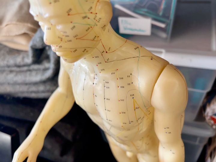 Some new bodies to try this week