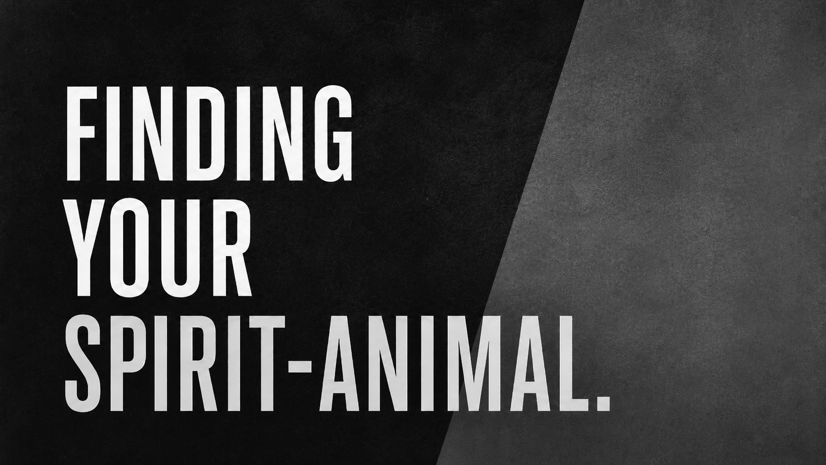 Finding Your Spirit-Animal.