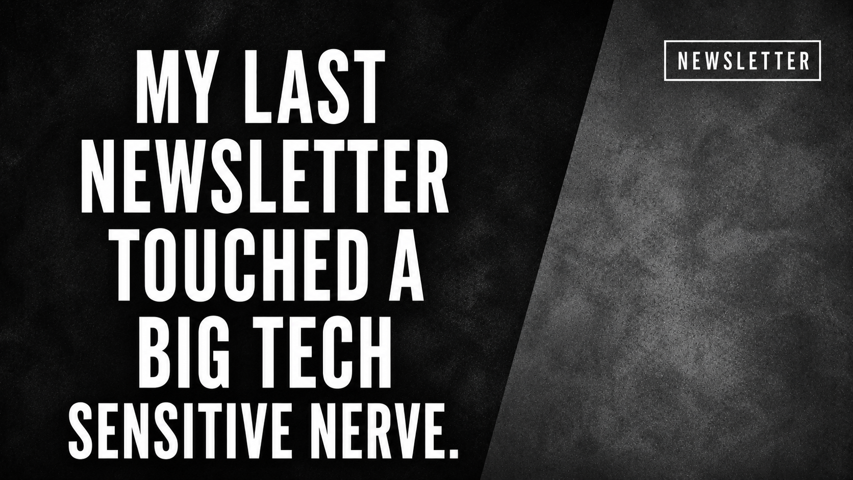 My last newsletter touched a Big Tech sensitive nerve.