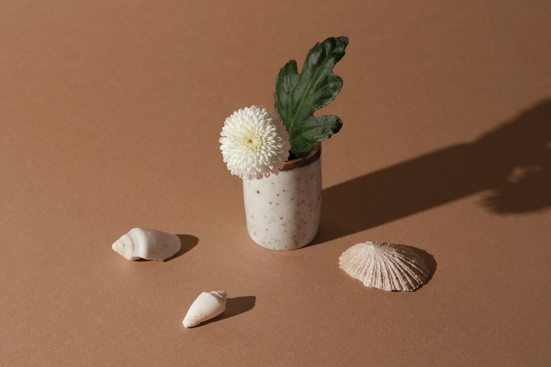 A white flower in a speckled vase with seashells
