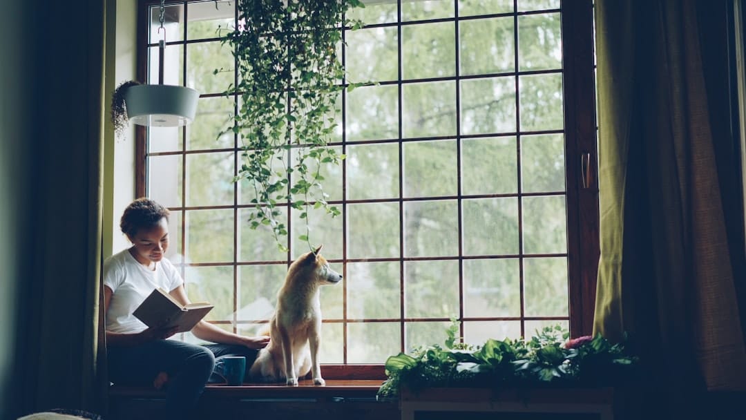 A woman and dog enjoy a sunny window view.