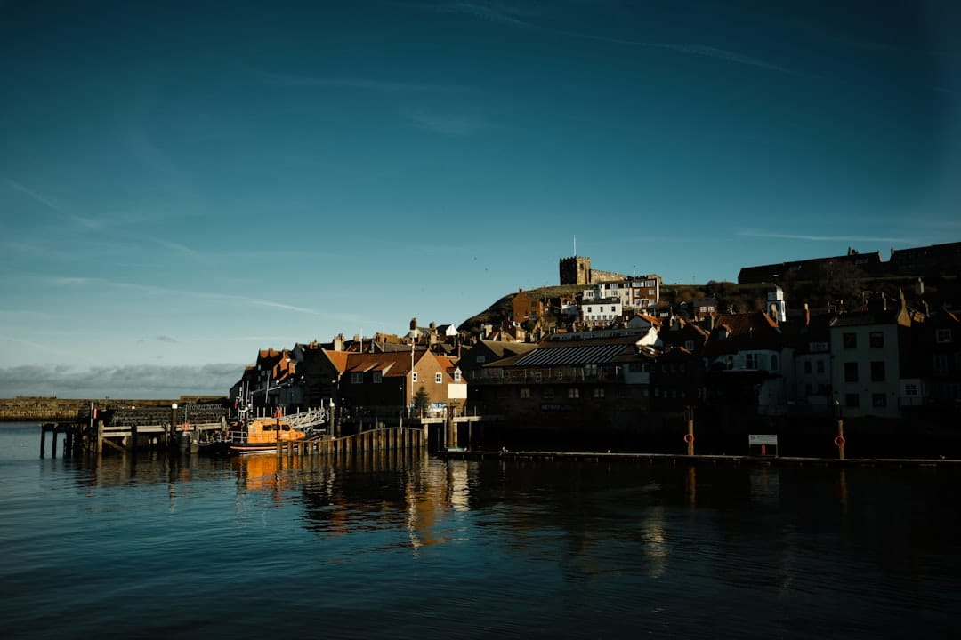 Coastal town with buildings on a hill overlooking water.