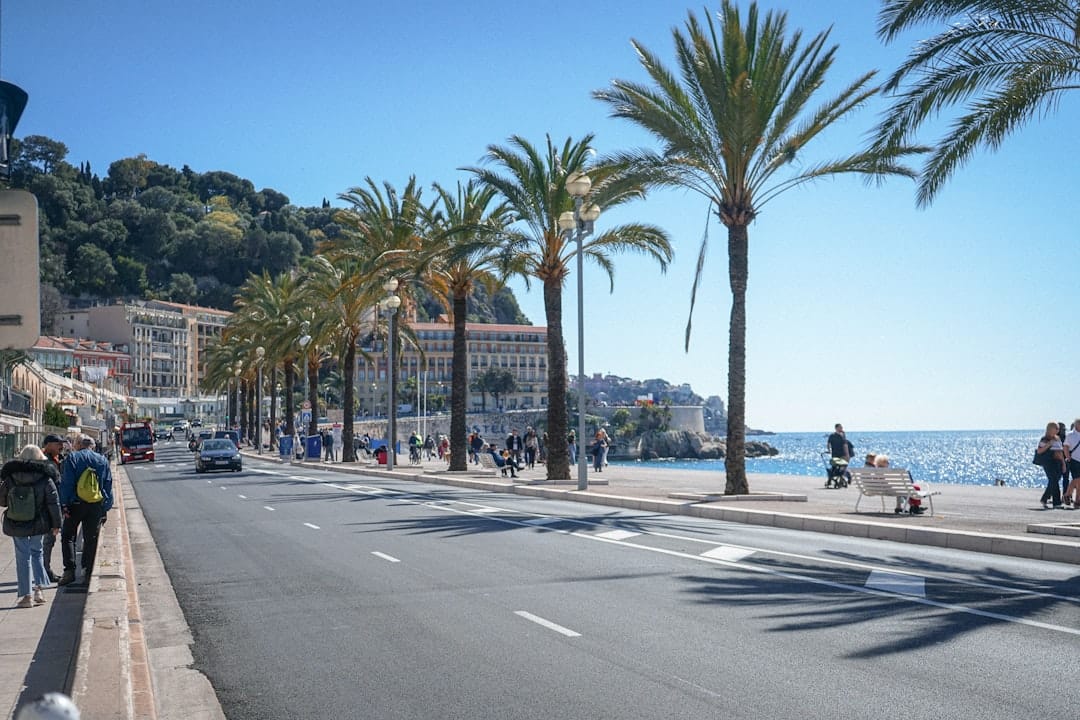 A sunny coastal road lined with palm trees and buildings