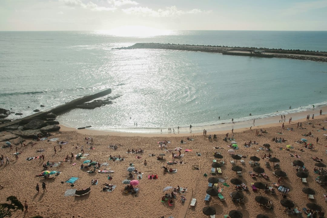 Crowded beach with ocean and pier under a bright sun