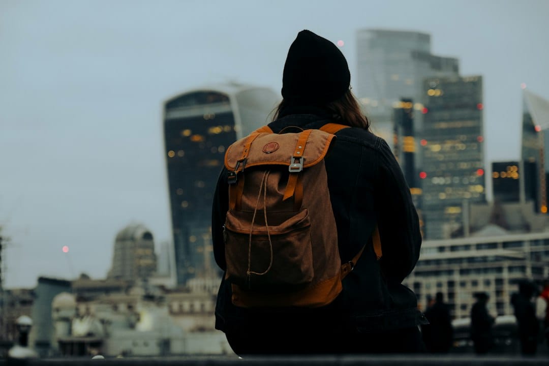 a person with a backpack looking at the city