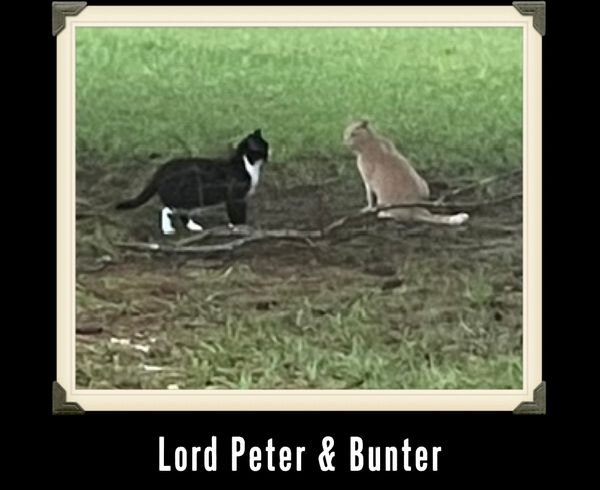 3 Drownings & 3 Faiths in Luke 16.19 to 17.10