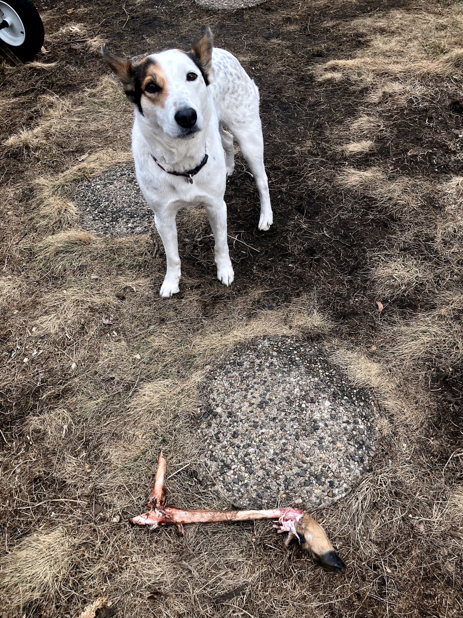 WHY I’M GLAD I HAD A NERVOUS BREAKDOWN