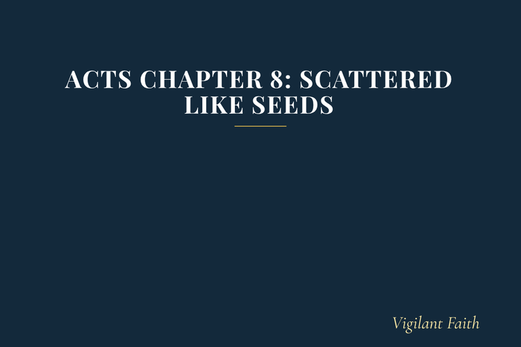 Acts Chapter 8: Scattered Like Seeds
