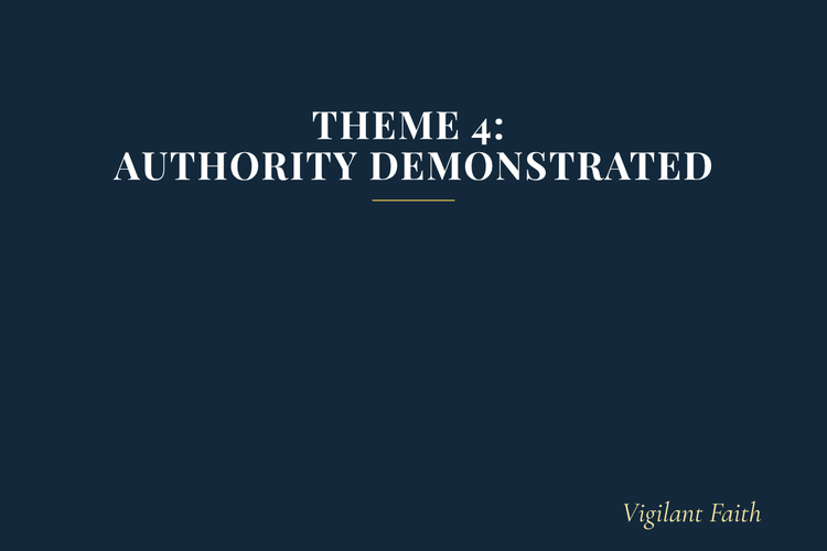 Theme 4: Authority Demonstrated