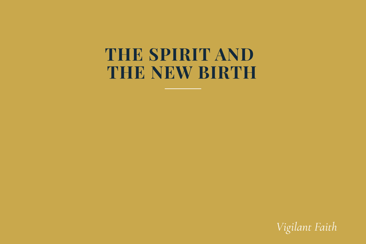 THE SPIRIT AND THE NEW BIRTH