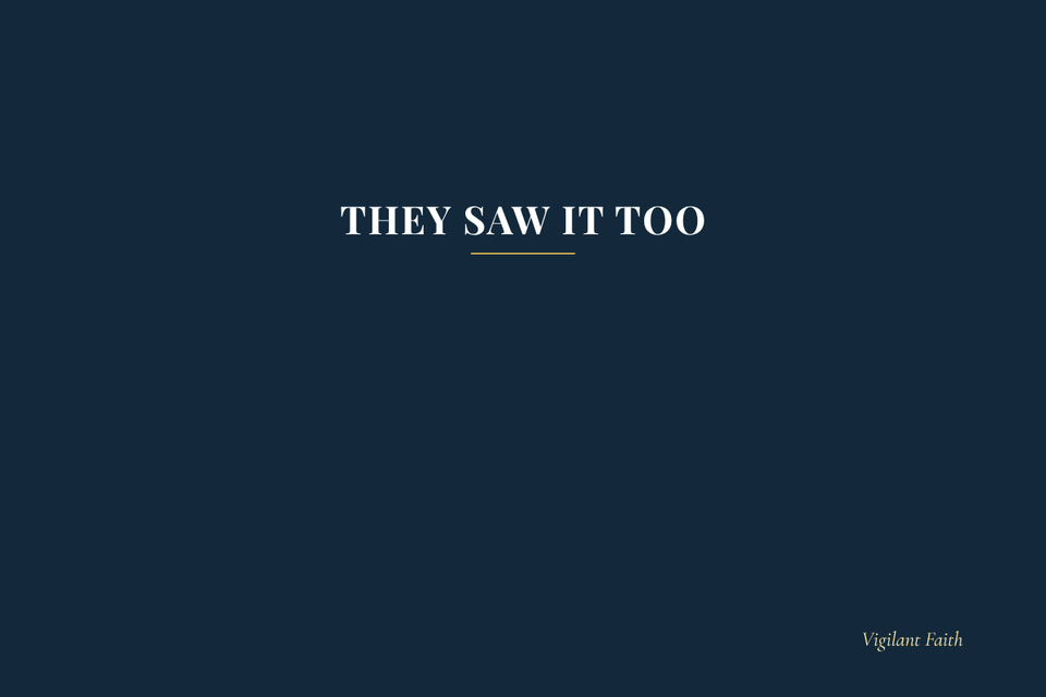 They Saw It Too