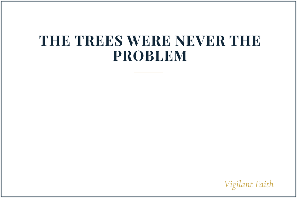 The Trees Were Never the Problem