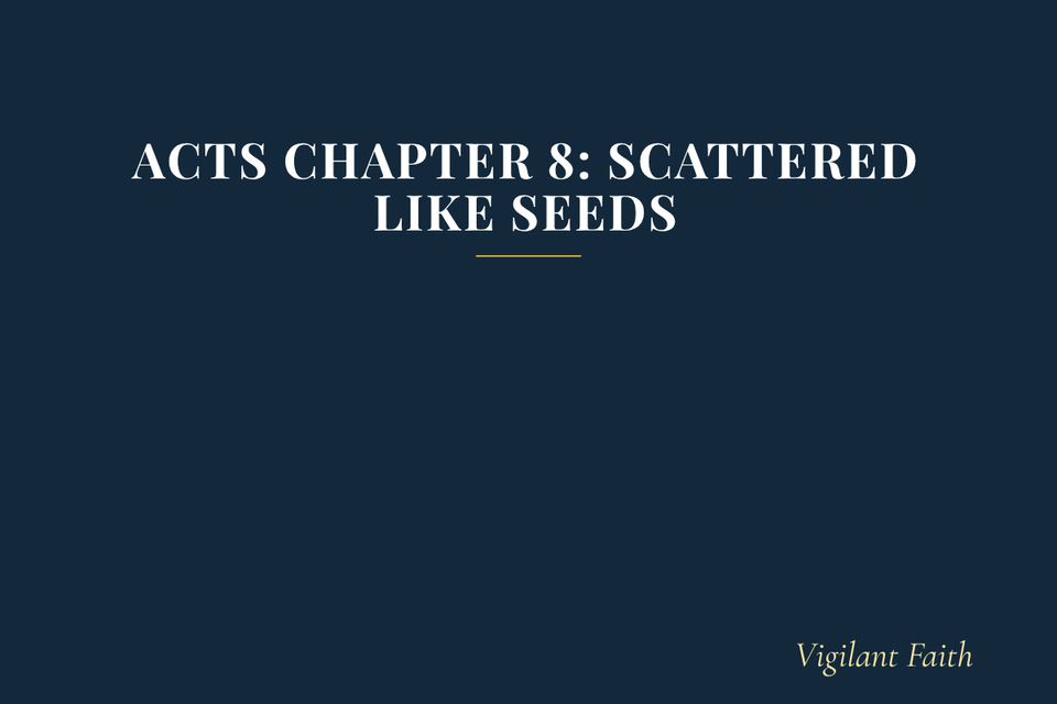 Acts Chapter 8: Scattered Like Seeds
