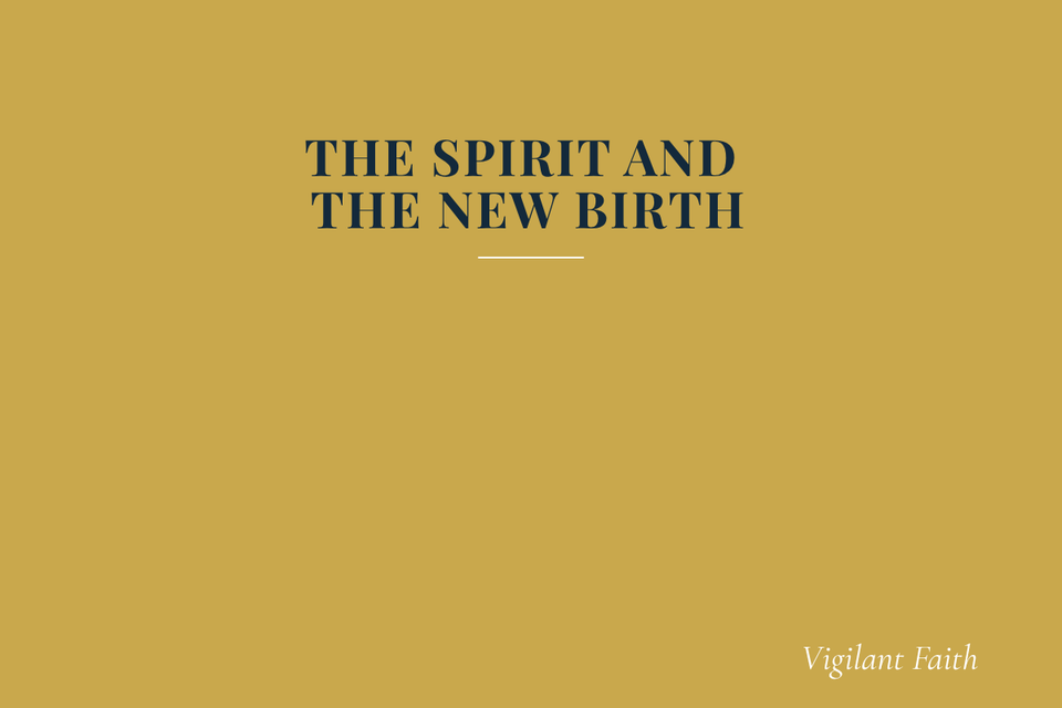 THE SPIRIT AND THE NEW BIRTH