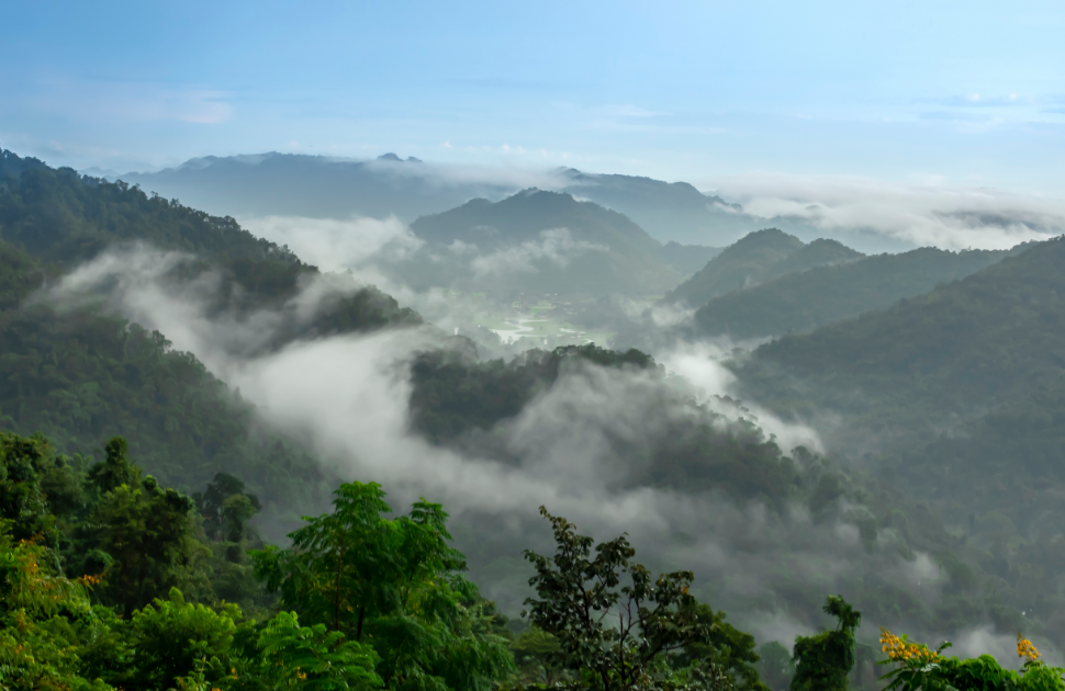 Khao Yai: The National Park That Every Bangkok Expat Needs to Visit