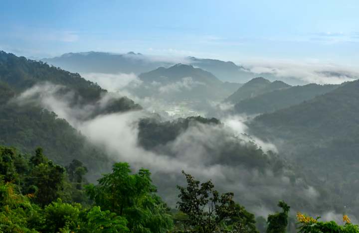 Khao Yai: The National Park That Every Bangkok Expat Needs to Visit