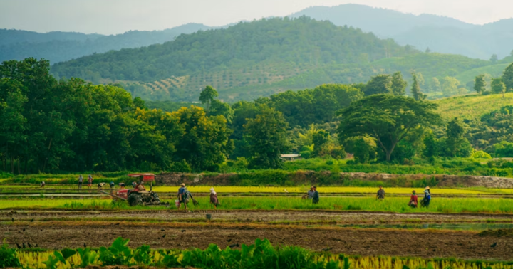 Chiang Rai: Beyond the White Temple