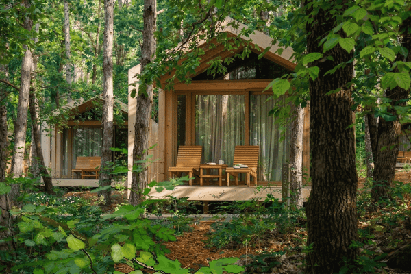 Sakin bir orman manzarası içinde, verandası olan modern ahşap kamp evleri."