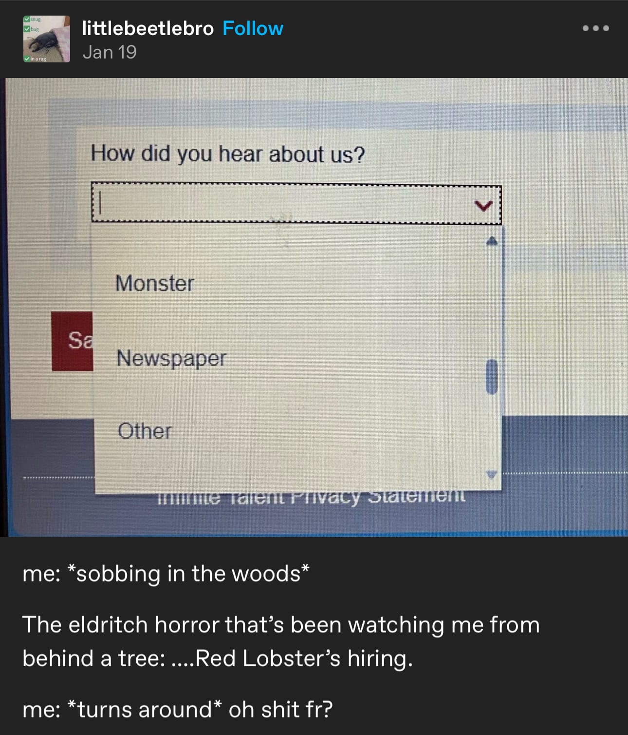 Image contains a screenshot of a form that asks "How did you hear about us?" with 3 options: Monster, Newspaper, and Other. Under that, an imagined conversation: Me: *sobbing in the woods* The eldritch horror that's been watching me from the woods: ...Red Lobster's hiring. Me: *turns arouns* oh shit fr?