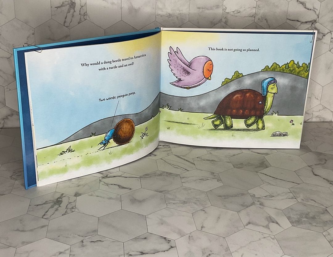 Children's Book Sizes | Book Trim Size | Landscape Children's Book Size