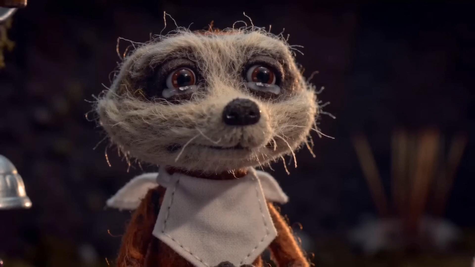 Harley the meerkat with a napkin around his neck ready to cry