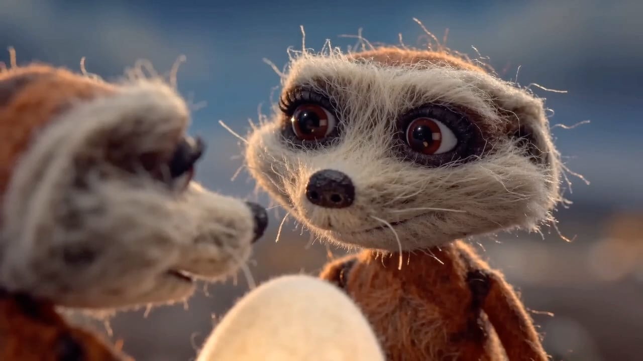 Luce the meerkat with a sharp, skeptical gaze, shoulders squared and ready to argue