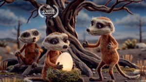 An Eggshell in Mallorca