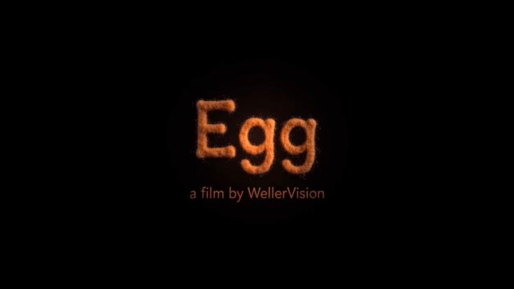 The Music of Egg