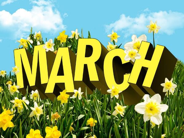 March 2025 Grant List