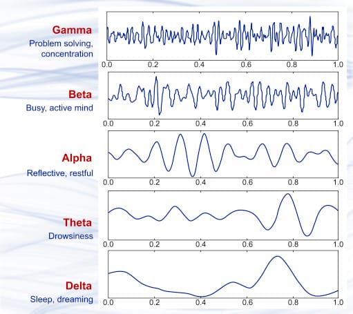 EEG brainwave chart showing gamma, beta, alpha, theta, and delta states and their relationship to attention, relaxation, and sleep