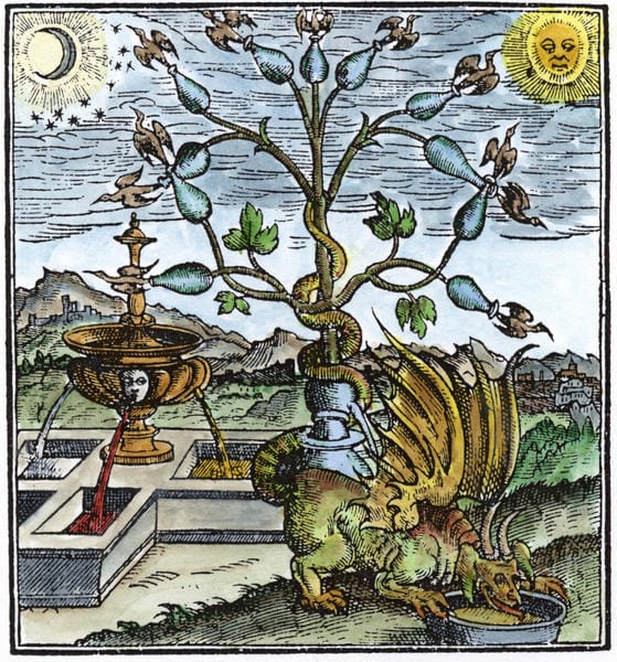 Alchemical emblem depicting the Hermetic Tree of Life symbolizing inner transformation and the Great Work