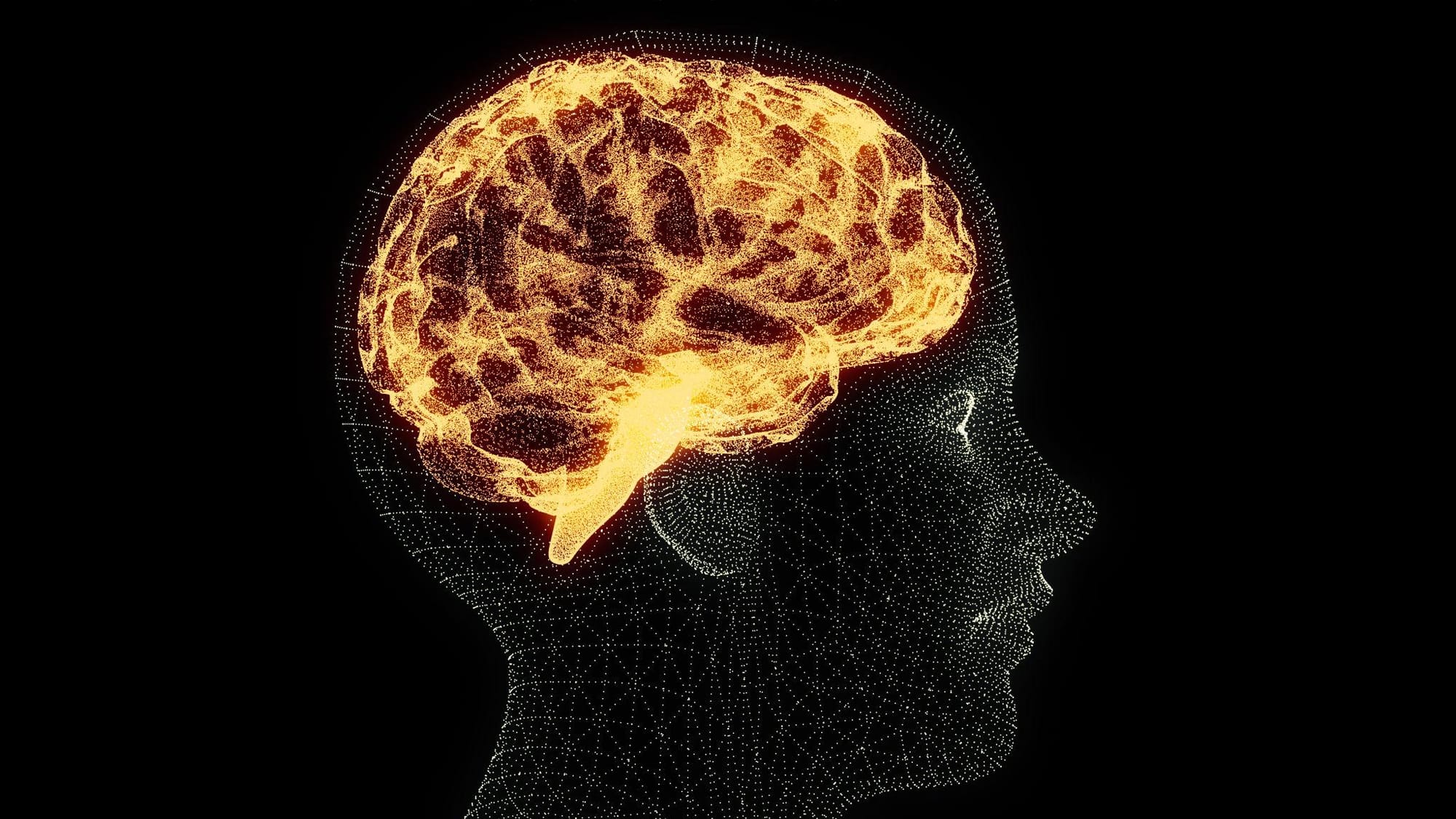 Illustration of brain neuroplasticity showing how new neural pathways form during paradigm shifts
