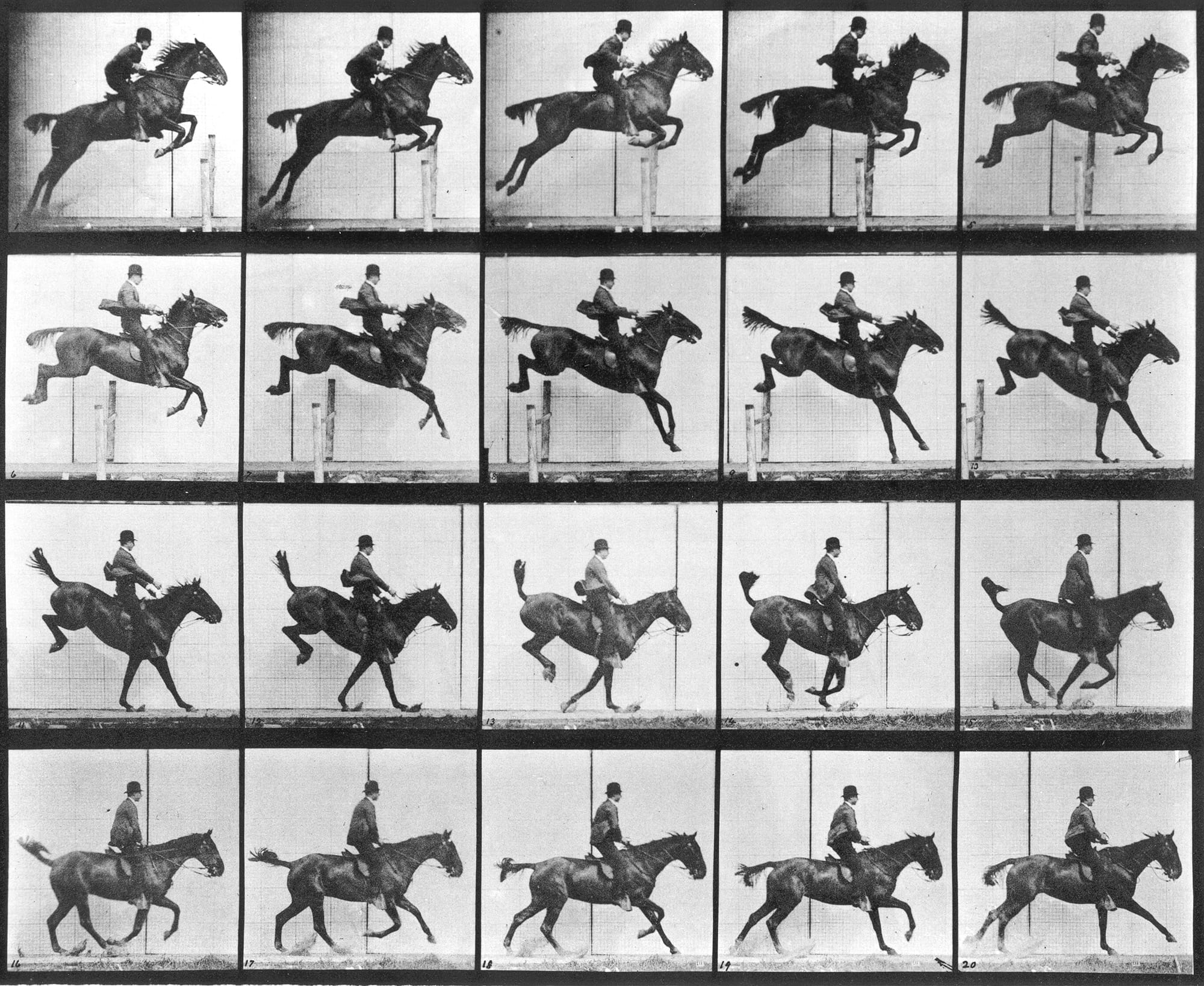 Eadweard Muybridge Man and Horse Jumping Animal Locomotion 1887 motion sequence study showing movement frame by framen