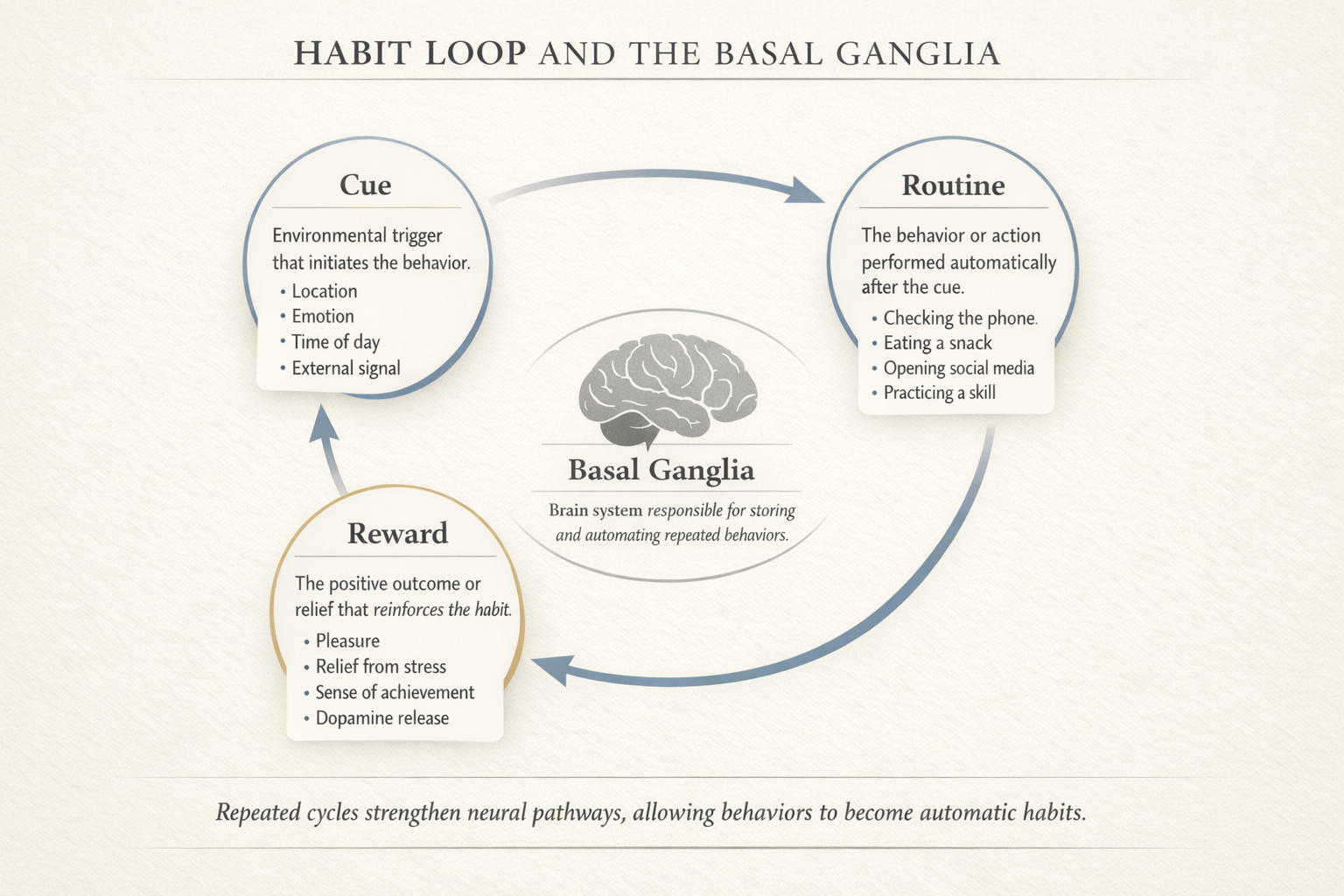 Habit loop diagram showing cue routine reward cycle controlled by the basal ganglia
