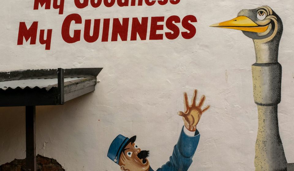Guinness & Dog Business Profits Tip