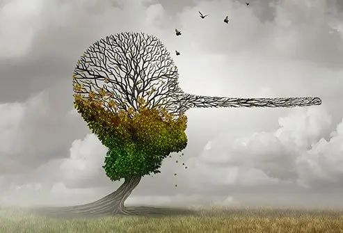 The Pathological Liar - The Disappearance