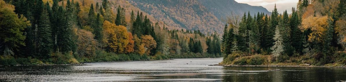 About CANSEE/SCANÉÉ